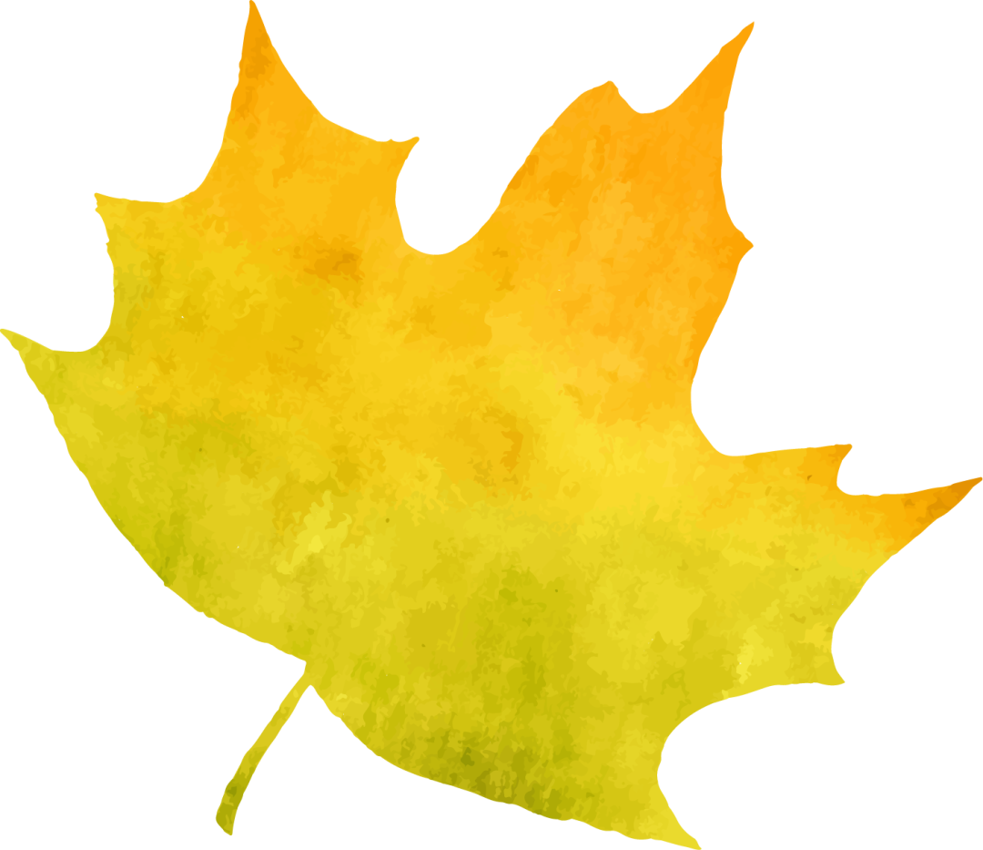 110206wx4jfh4ui3iwil2u.png