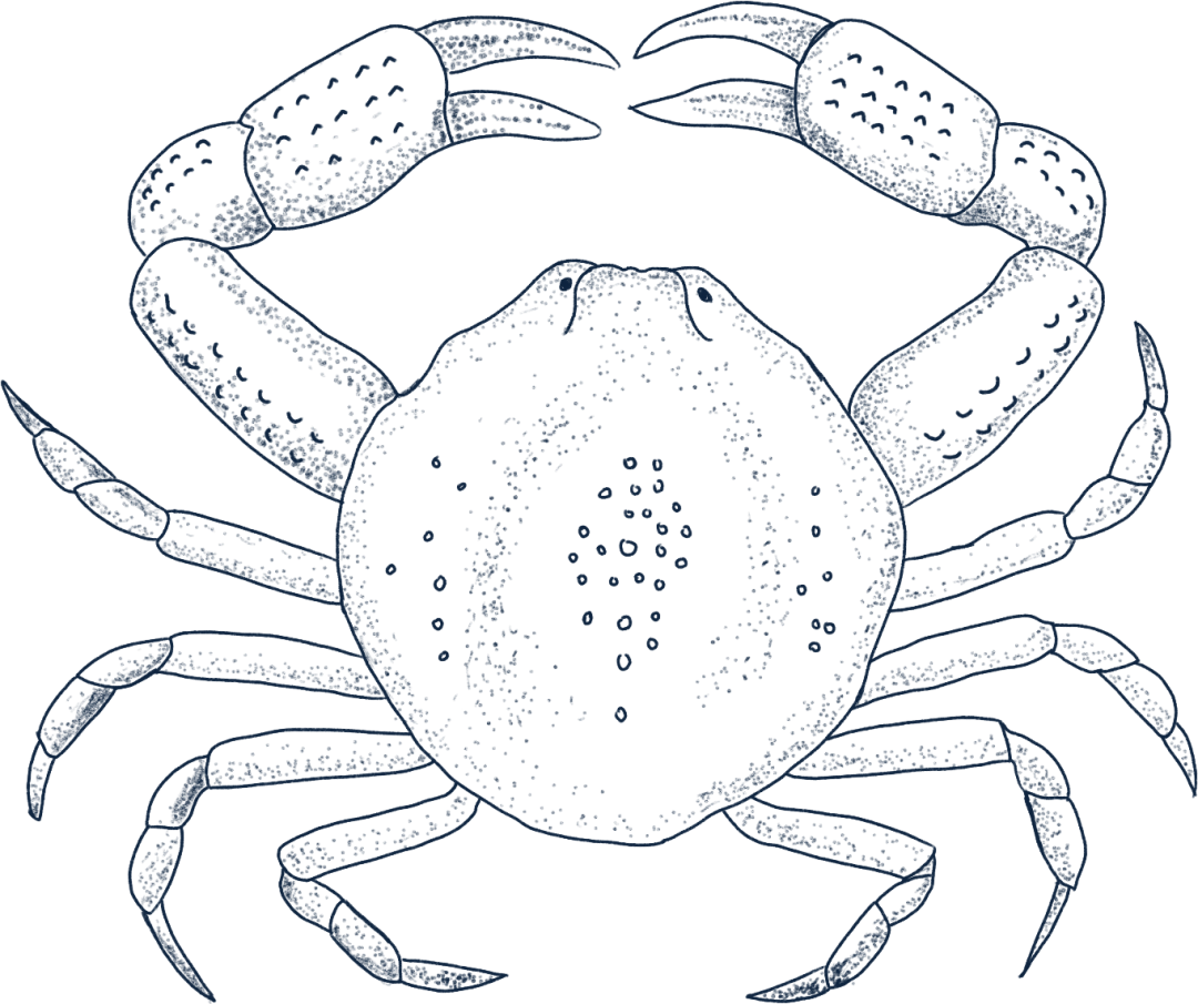 110208hmdqwcbgbqbqgmzr.png