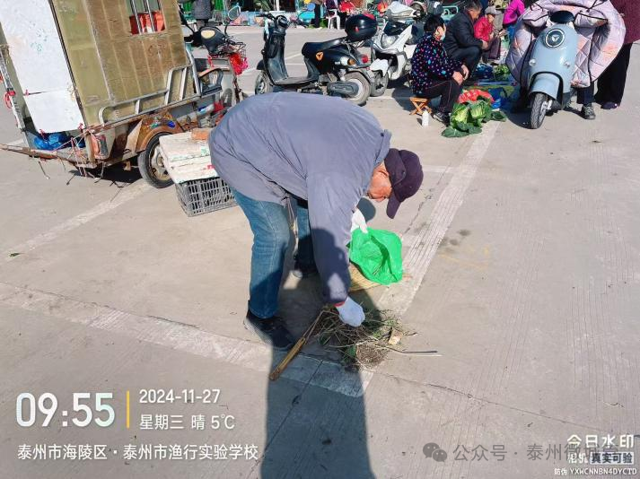 173224vq8kqmxqggyqqkue.png