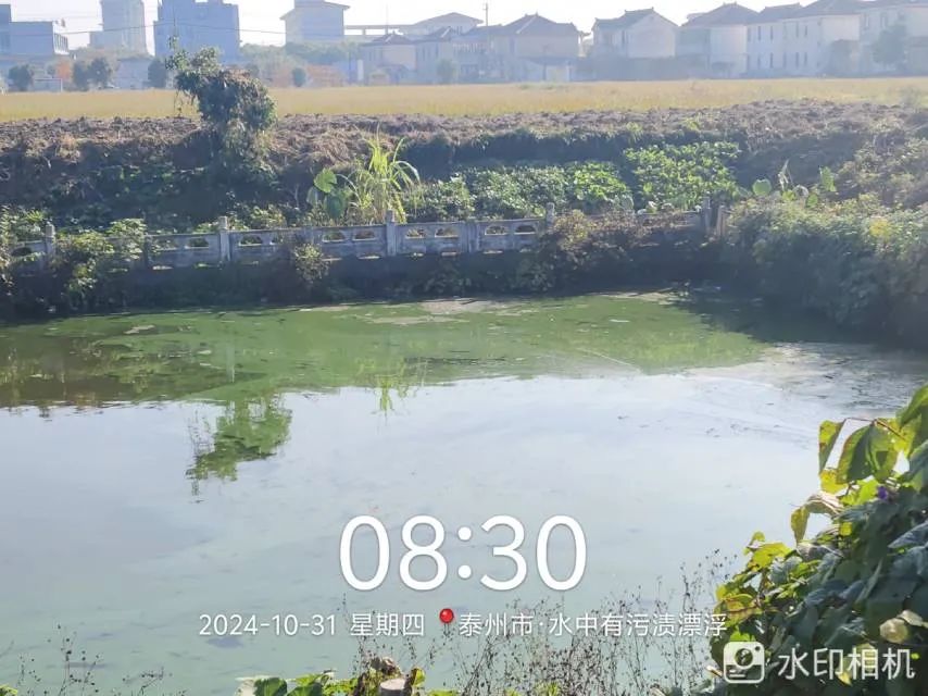 111021qfu9if9ibyirduak.jpeg
