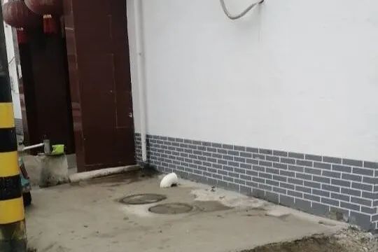 093132h0zm061b1wy36y01.jpeg