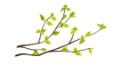 100738li9i7d4fkf4xcikk.gif