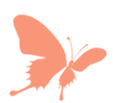 102622p646et6nko5knez0.gif