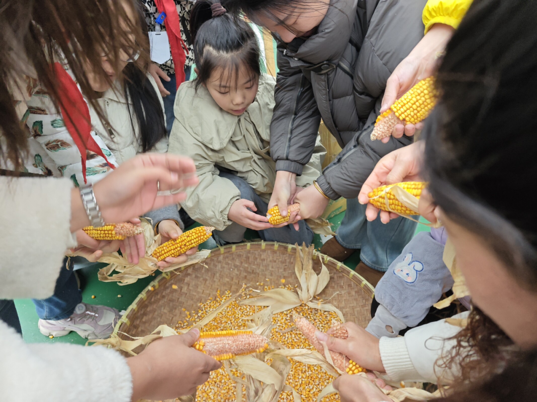 110018l2nz3noooa253l25.png