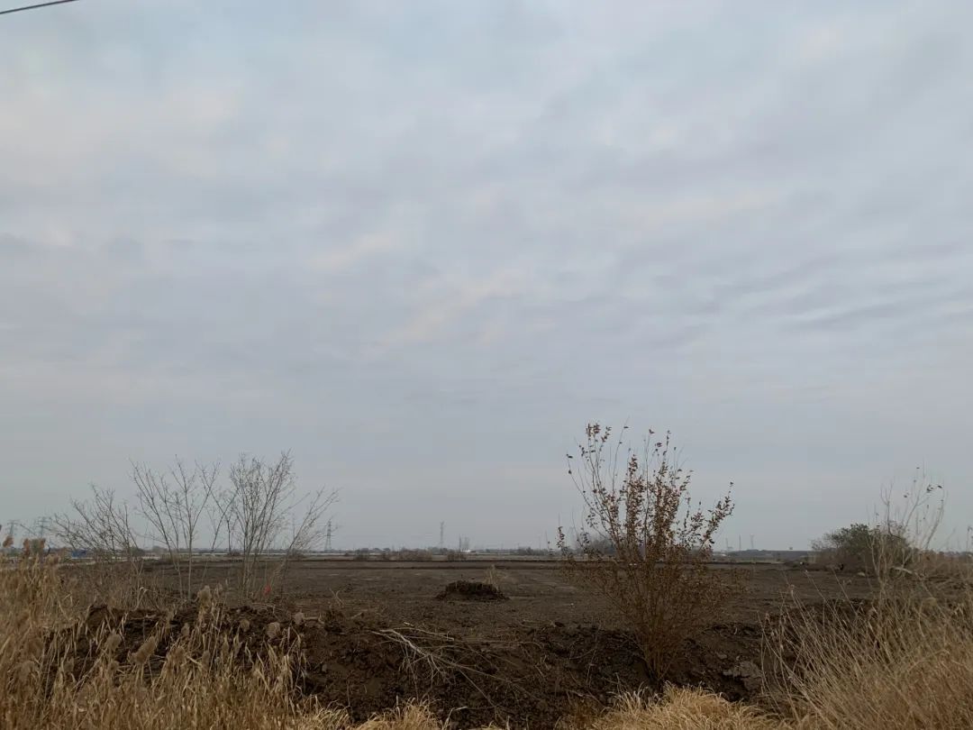 094109uyzjfmhru9mbm7h1.jpeg