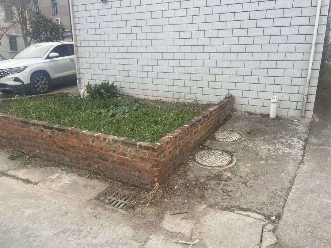 102707go5sv50a0ozviek3.jpeg