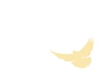 093528brvudv8b4s488yvs.gif
