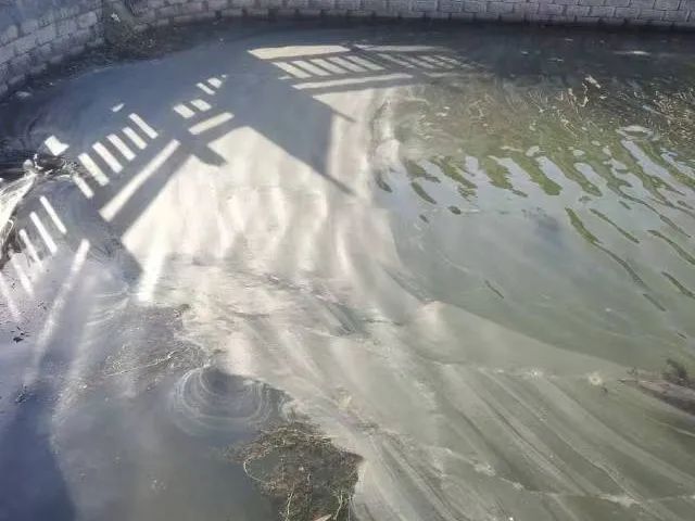095500onck43rk3bnwgbgc.jpeg