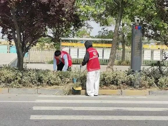 100425zbewbrzrsc32v3vo.jpeg