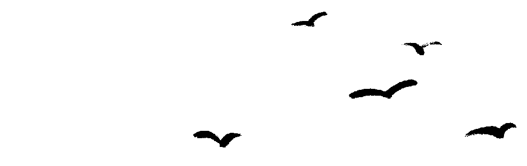 170711hjkd3y9vzykdkj5k.gif