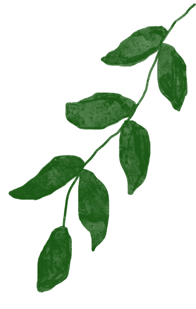 091614tz90b900gbacj2of.png