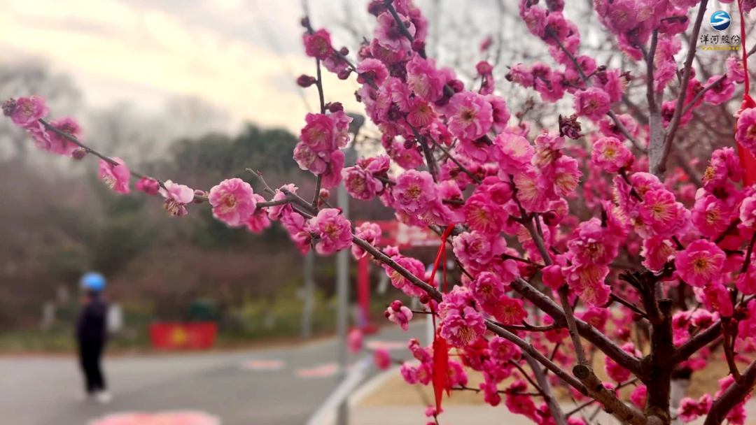 104206ykvkbzk552kmkdgk.png