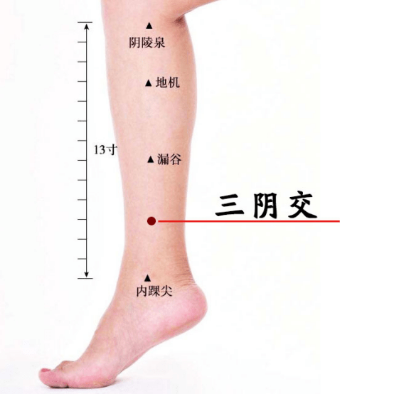 171310fh666jl60gee3z3s.png