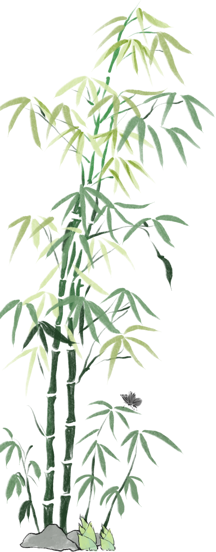171859z9r5rppwruwjkrgv.png