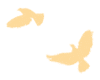 090059yakxcsx8bq9ffi84.gif
