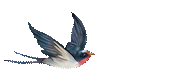 162734efr55pe98p7979xg.gif