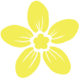 151914icaz25xzp6pc1ko8.png