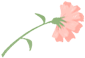 092005pn9en9d1dezotf9k.png