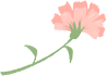 092007ovcq8acurqa88c1k.png