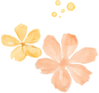 102957m3zqw4tijwh1jthp.png