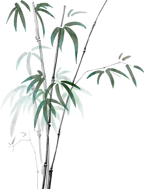 173520ad3qad0q22f4o843.png