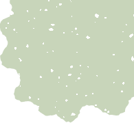 093032acfqe44qeox45449.png