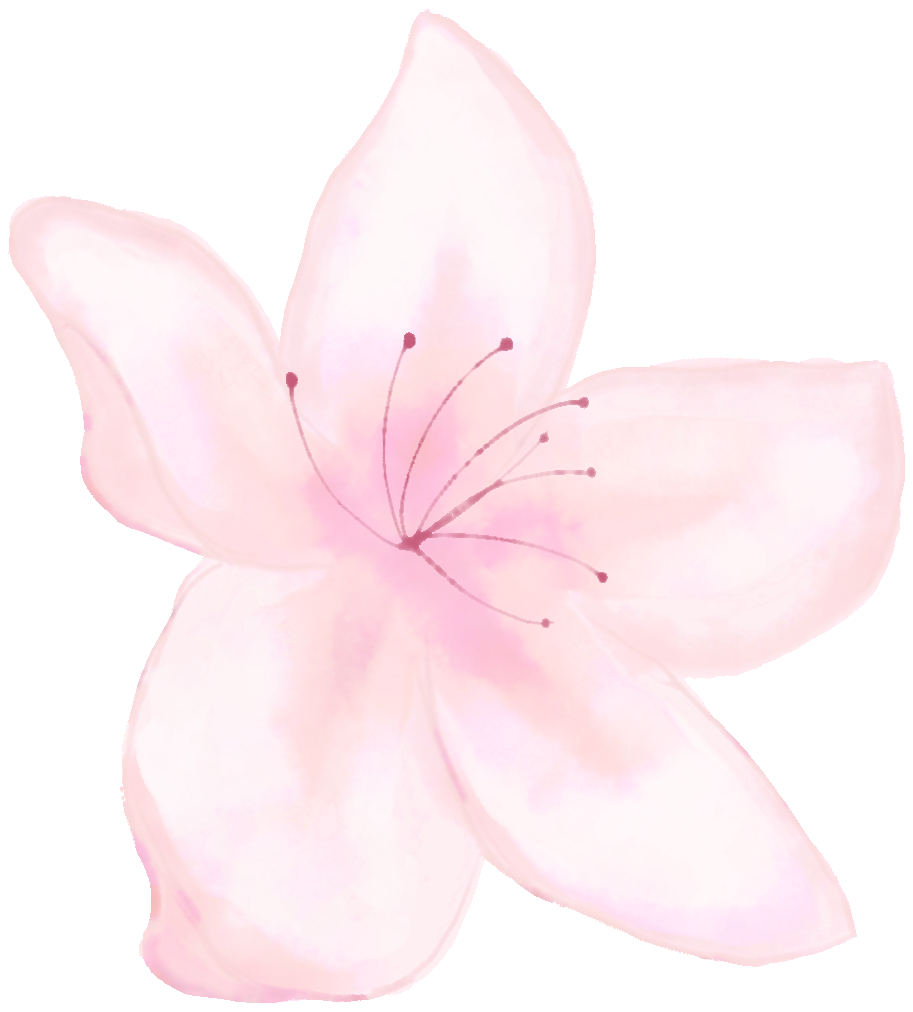 094628fsyj2qhqpnw8s48w.png