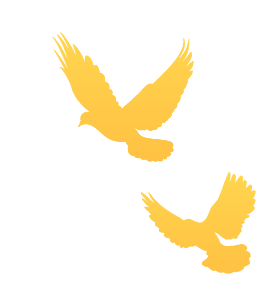093349q6b6qwkfddfdfip6.gif
