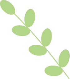 172643bwff3twwzfhrf44w.png