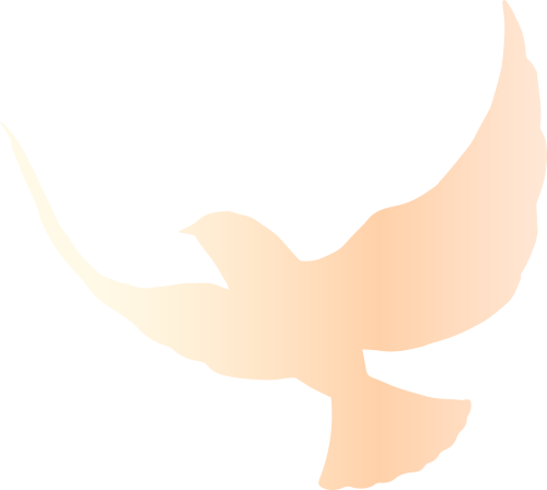 172953mogcj63gj64a663a.png