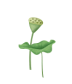 103508fjp0sm0kkkqs8804.gif