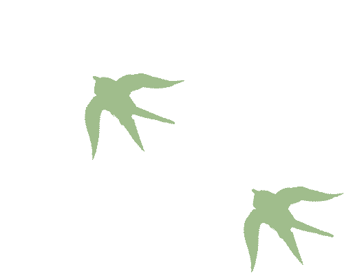 164502geb5ccrhpmhsnncm.gif