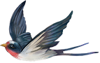 164506a5sgowzkigikk5t5.png