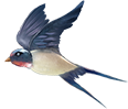 164516d7rpxr8rll8r079k.png