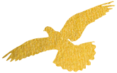 091306mbkxgkyqgf09wmtq.png