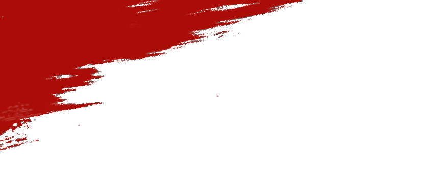 110057j41h025f402jf2h0.gif
