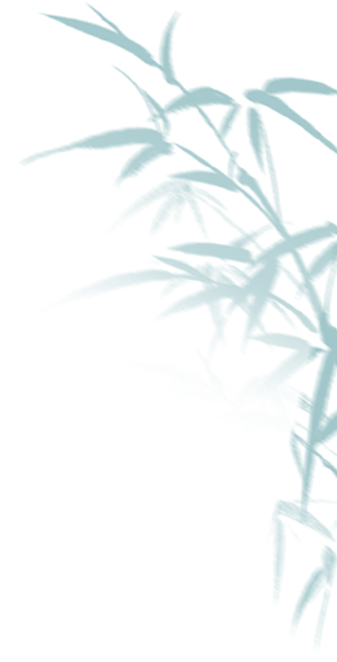 172437ro8unptwt6htqw65.png