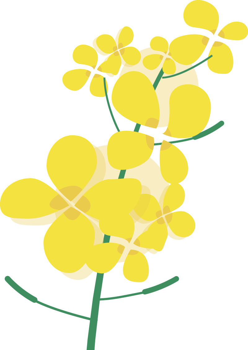 173349upynjn61za4x4eyb.png
