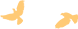 115719r1y5xgz2qzgggd0d.png
