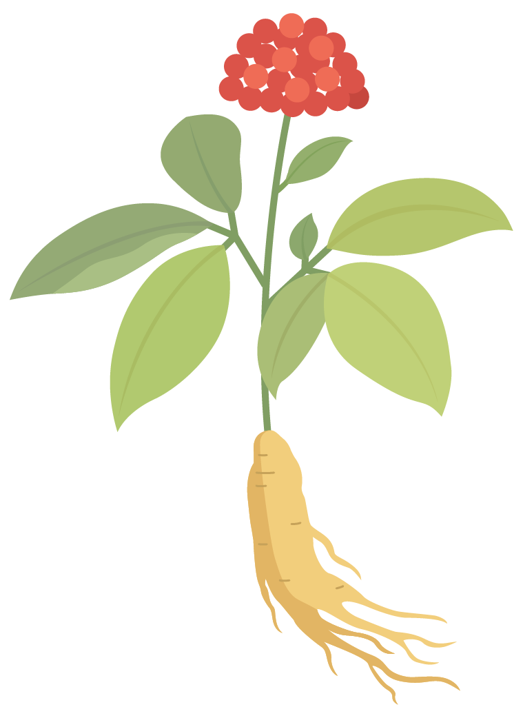 165157uhzeghr8z85pvgok.png