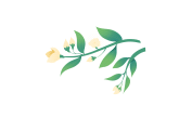 173701hpocr0m0r500qor1.gif