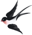 101838kupypct666xctfvr.png