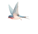 102540hulyls5u3eoif9yu.gif