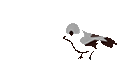 102824fx0ajtt3llct8n82.gif