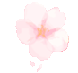 152616mdo5o0gvdy9wvngz.gif