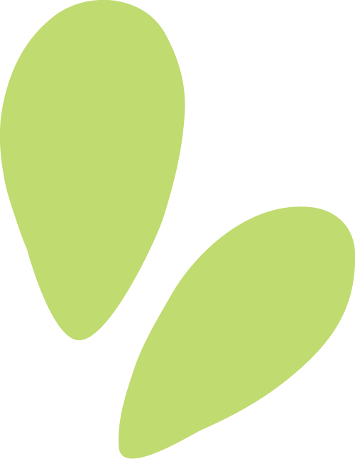 103814jherhpg2bmeubr2d.png