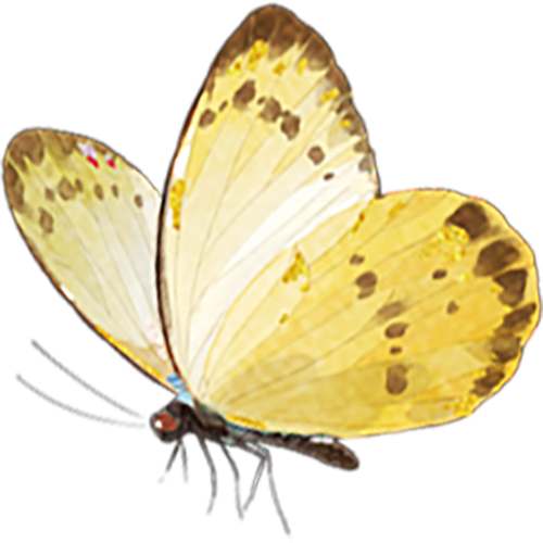 173633gr6nbul4frkclcu6.png