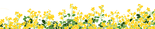 103134tcz55mc4jk4p5jki.png