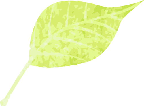 165144m8xml4iwpxnzmkq4.png