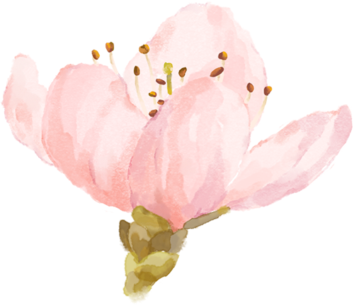 101052hro6uncqlbv6jonu.png